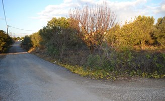 სასტუმრო 600 m² კასანდრაზე (ქალკიდიკი)