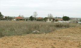 Land 2993 m² in Chalkidiki