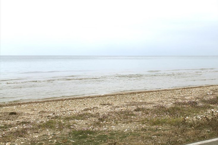 Realty photo 2