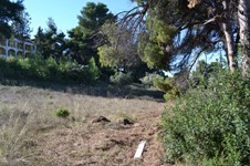 Property 28696 photo 3