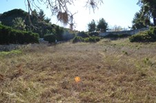 Property 28696 photo 4