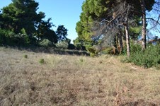 Property 28696 photo 5