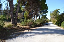 Property 28696 photo 6