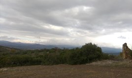 Terrain 13000 m² à Athos (Chalcidique)