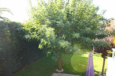 Property 28714 photo 65