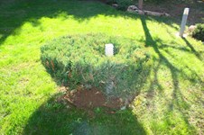 Property 28714 photo 9