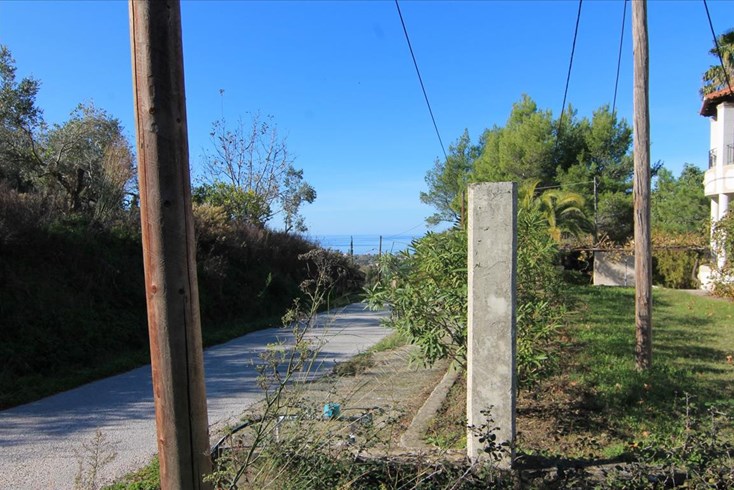 Realty photo 2