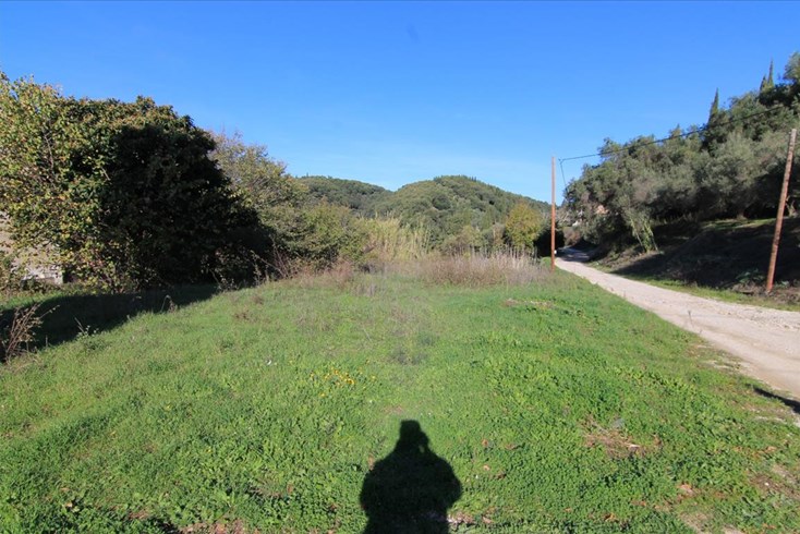Realty photo 1