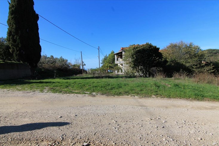 Realty photo 3