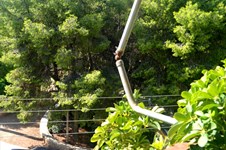 Property 28735 photo 1