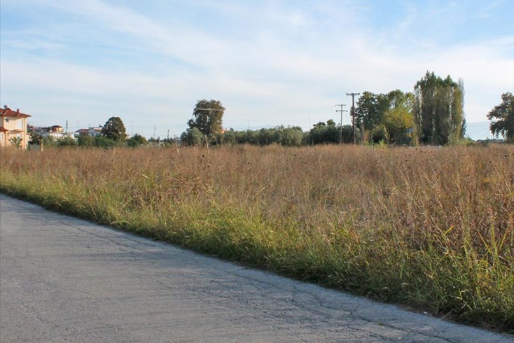 Realty photo 2