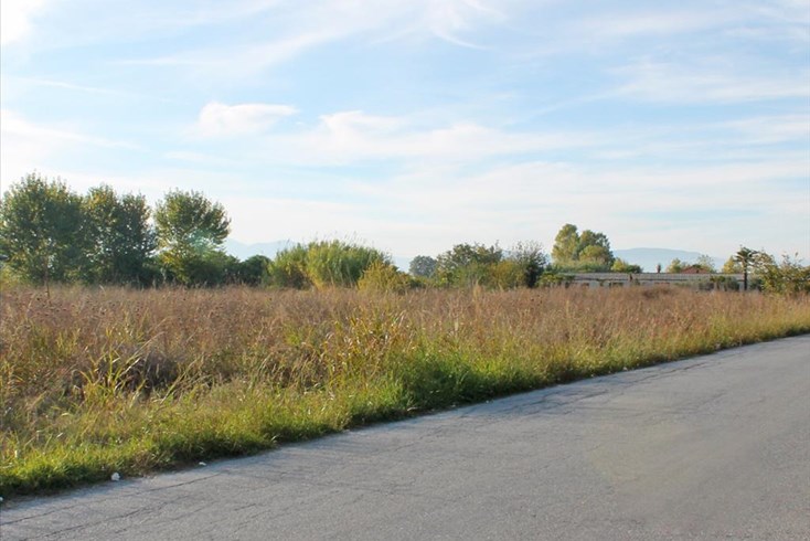 Realty photo 2