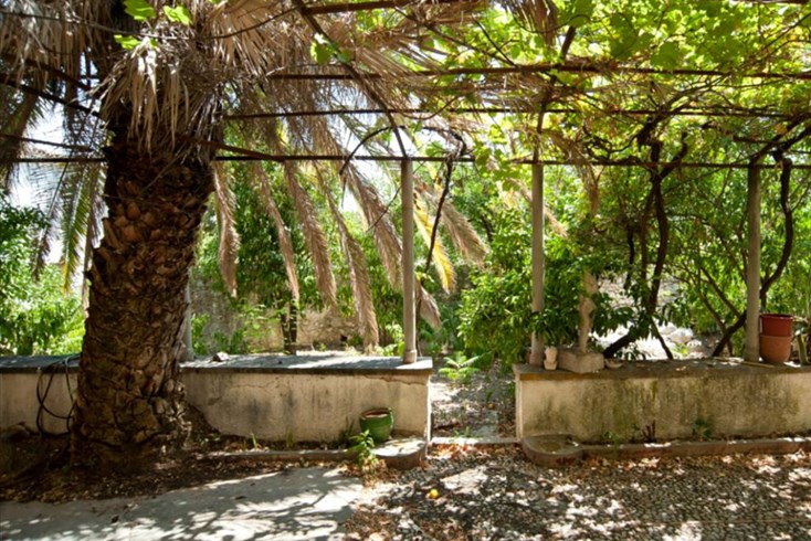 Realty photo 2