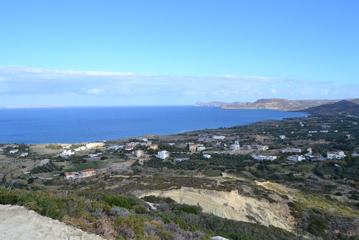 Realty photo 1