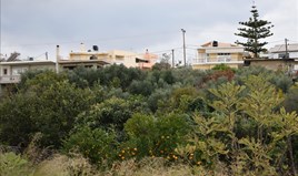 Land 2300 m² auf Kreta