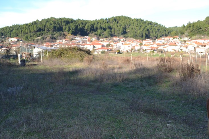 Realty photo 2