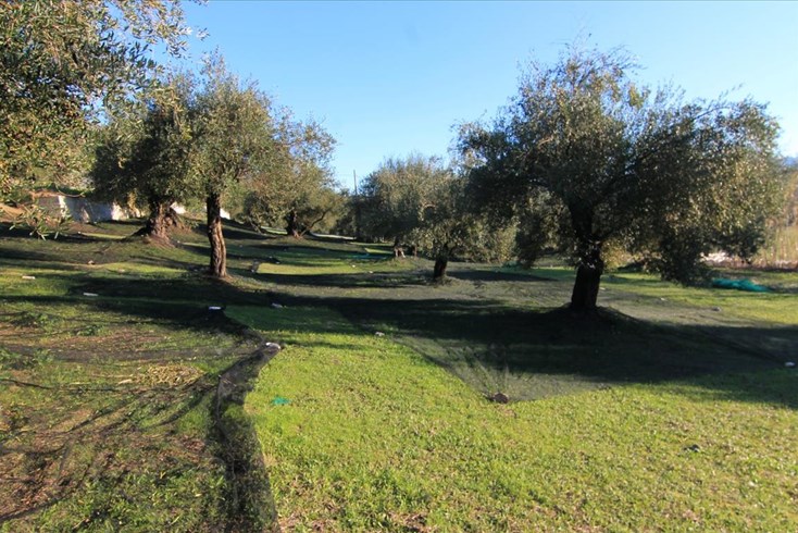Realty photo 2
