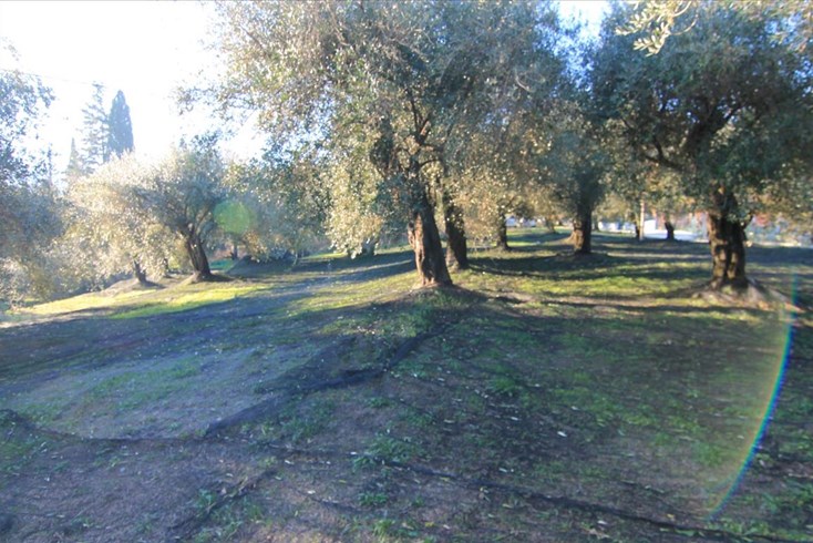 Realty photo 3