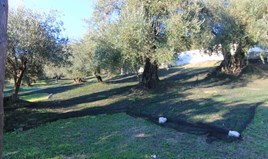 Zemljište 578 m² na Krfu