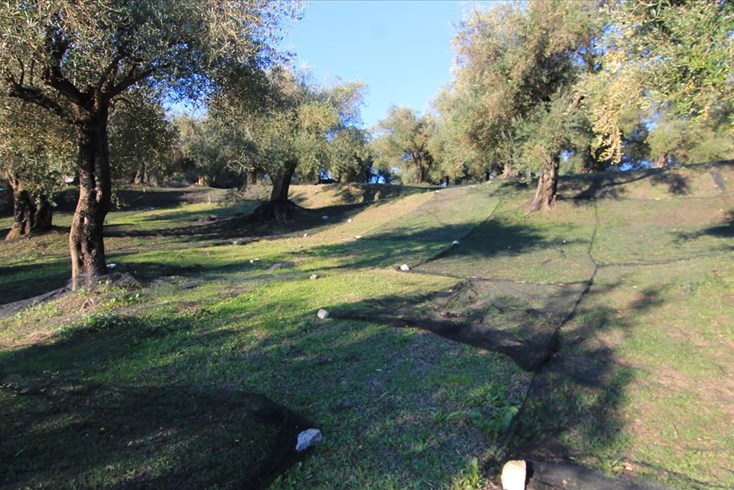 Realty photo 2