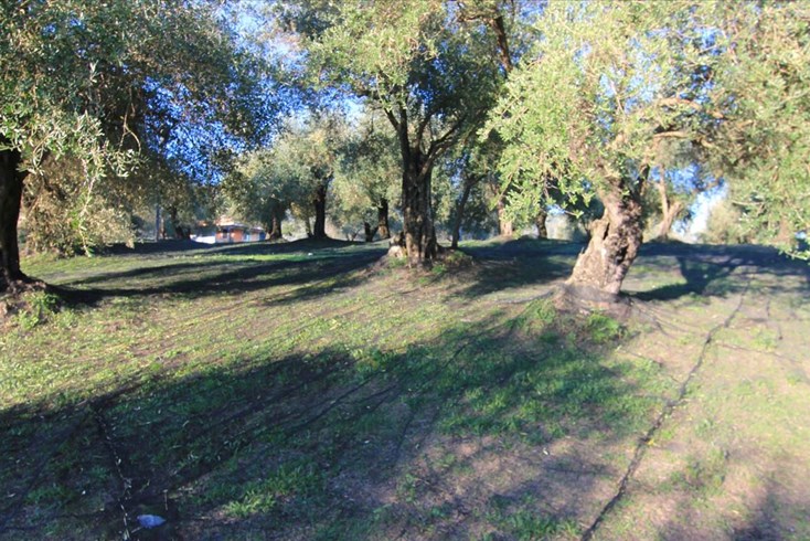Realty photo 3