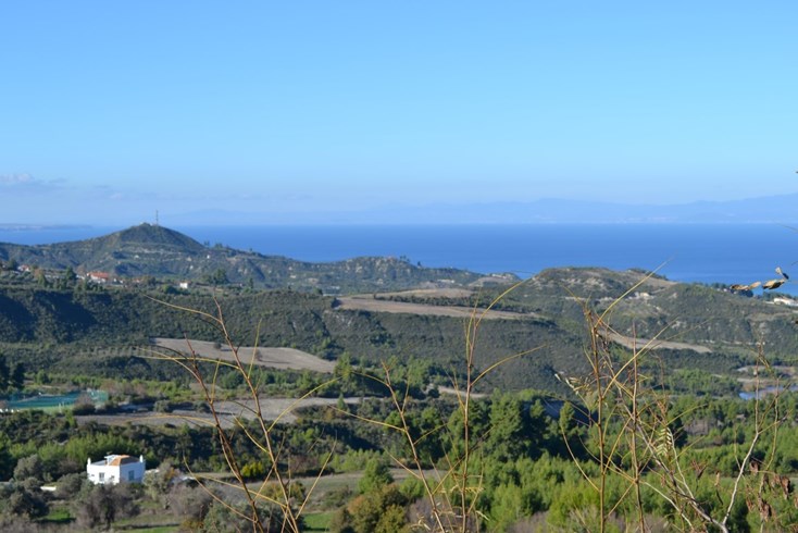Realty photo 3