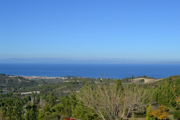 Realty photo 2