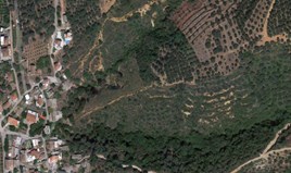 Land 36000 m² auf Kreta