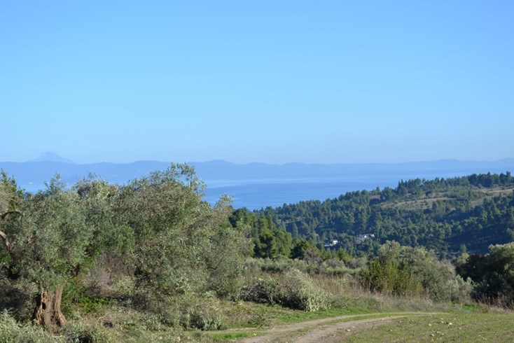 Realty photo 2