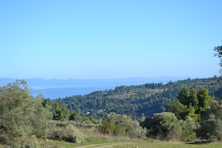 Realty photo 1