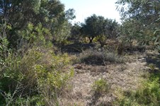 Property 28965 photo 5