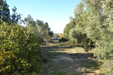 Property 28965 photo 3