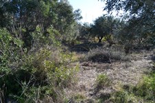 Property 28965 photo 6