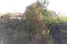 Property 28983 photo 3