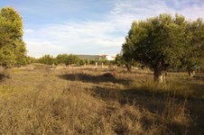 Property 28983 photo 1