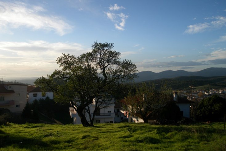Realty photo 1