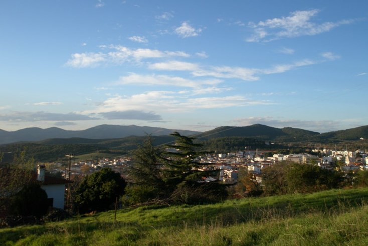 Realty photo 2