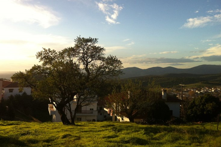 Realty photo 3