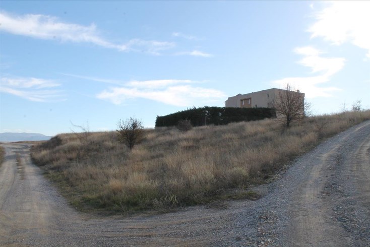 Realty photo 2