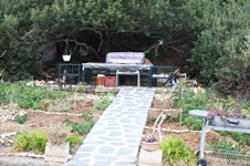 Property 2906 photo 9