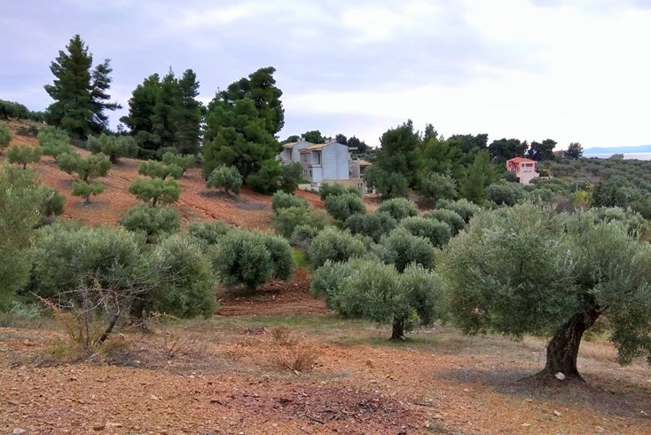Realty photo 3