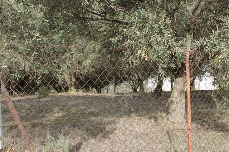 Realty photo 2