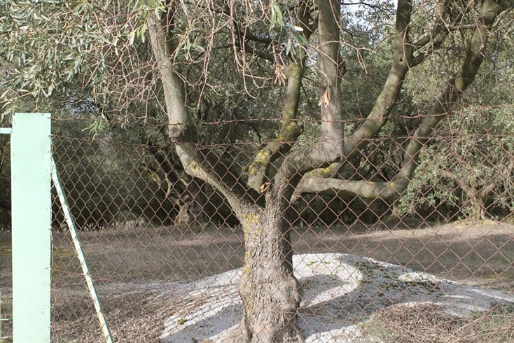 Realty photo 3