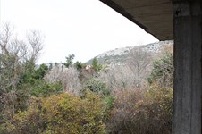 Property 2932 photo 9