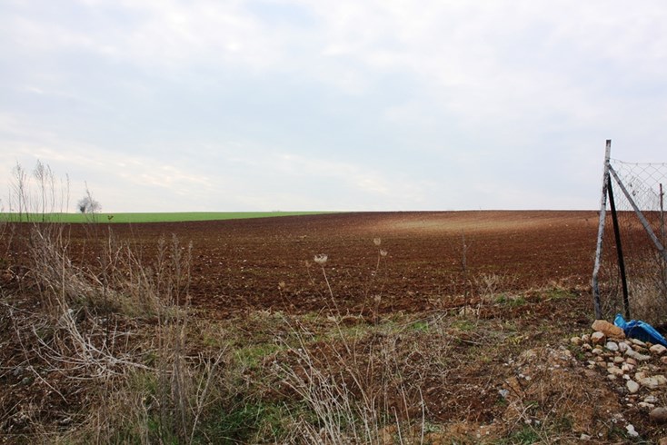 Realty photo 2