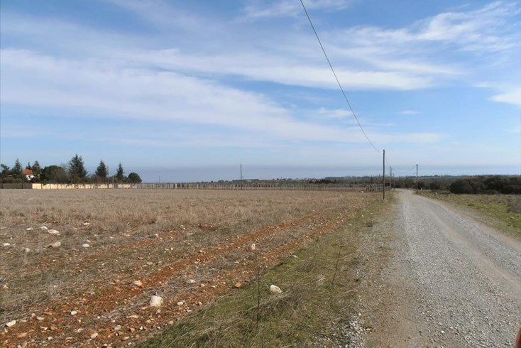 Realty photo 3
