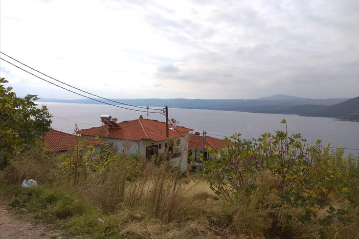 Realty photo 1