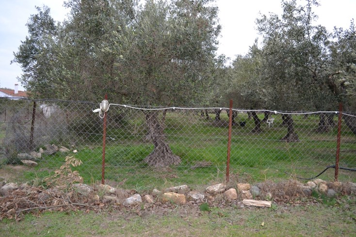 Realty photo 3