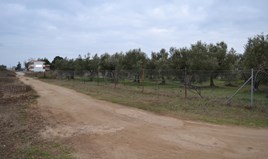 Land 2700 m² auf Sithonia (Chalkidiki)