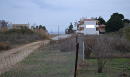 Land 1000 m² auf Sithonia (Chalkidiki)